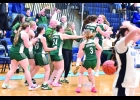 THE SPARTANS CELEBRATE their buzzer-beater District win on Monday as the stunned Harrison Hornets players also react.