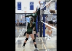 BRIELLE HERNER (#8, left) attempts to slide the ball past the John Glenn blockers in tournament action last Tuesday. --Journal Photo