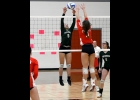 ELIZABETH VANHORN (#9) goes for a kill late in the Spartans loss to Tawas that ended their season last Wednesday. --Journal Photo