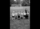 AYSO U-5 JELLYFISH: (not in order) Madisyn Evans, Avery Niedzwiecki, Anna Revord, Chase Sajdak, Jase Vennix, Greyson Wenzel; Coach: Maggie Niedzwiecki. --Journal Photo