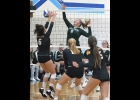 SAMI FRYZEL (#8) slides the ball past the Bay City Western player for the point during last week’s Bay County Tournament. --Journal Photo
