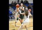 TORI SHARK (#23, left) drives in for a shot against the Harrison Hornets last Thursday. Sharks 14 points helped the Spartans claim a 61-point tie at the end of regulation, but they couldn’t get going in OT, and fell 69-63. --Journal Photo by Rachel Floyd