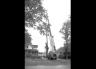L & L Tree Service employee Ryan Buczek, is shown above removing pieces from the top of a tree on Second Street in Pinconning recently. --Journal Photo